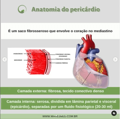 Pericárdio saco fibroso anatomia do pericárdio Wavesmed