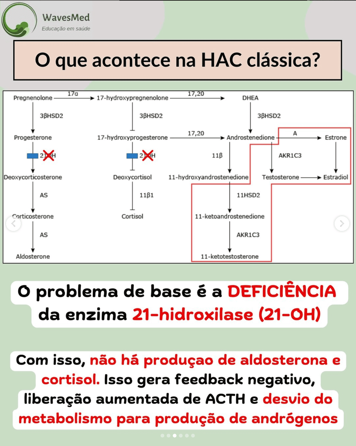 Fisiopatologia Hiperplasia Adrenal Congenita Wavesmed