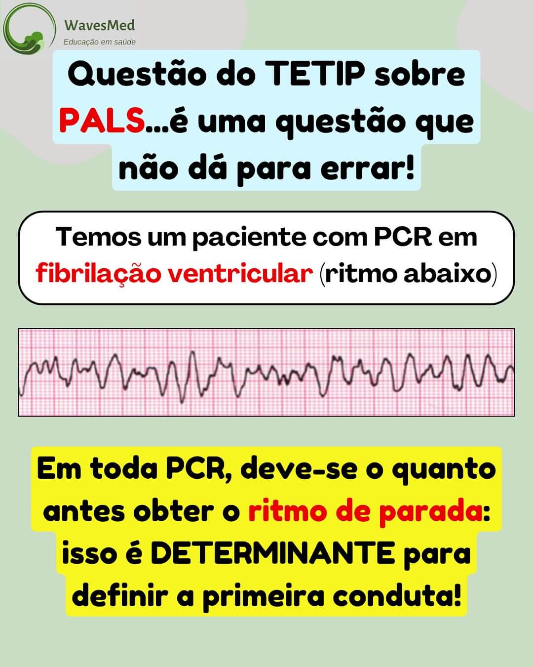 ECG PALS TETIP Wavesmed