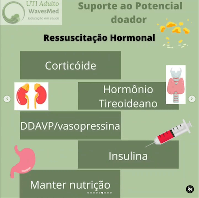 Morte encefálica: Como dar suporte até a doação?  Wavesmed  Suporte ao potencial doador cuidados intensivos hormonal