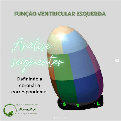 Função ventricular esquerda ecocardiograma  Análise coronária correspondente